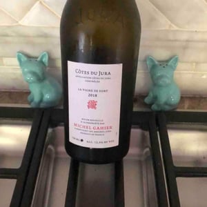 La Vigne De Fort - Michel Gahier - michel-gahier