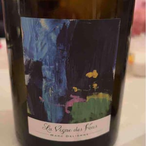 La Vigne Des Fous - Marc Delienne - marc-delienne -2017