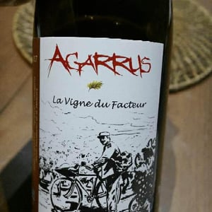 La Vigne du Facteur - Agarrus - serge-scherrer