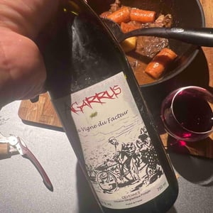 La Vigne du Facteur - Agarrus - serge-scherrer