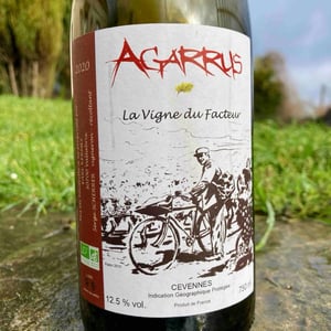 La Vigne du Facteur - Agarrus - Serge Scherrer 