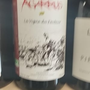 La Vigne du Facteur - Agarrus - serge-scherrer