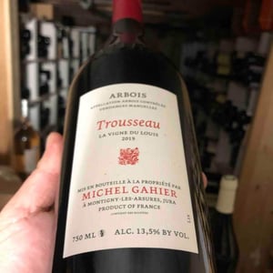 La Vigne du Louis - Michel Gahier - Michel Gahier 