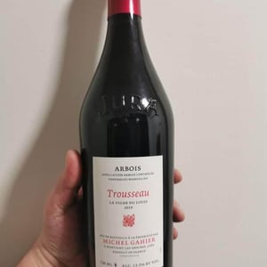 La Vigne du Louis - Michel Gahier - michel-gahier