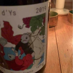 La Vigne D’Ys - Bariou & Bodet - jennifer-bariou-thibaut-bodet