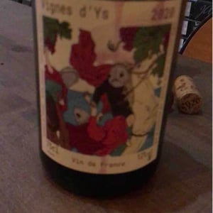 La Vigne D’Ys - Bariou & Bodet - Jennifer Bariou & Thibaut Bodet 