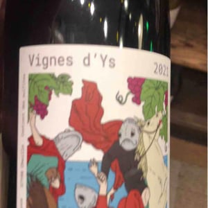 La Vigne D’Ys - Bariou & Bodet - jennifer-bariou-thibaut-bodet