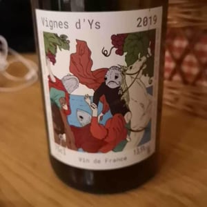 La Vigne D’Ys - Bariou & Bodet - jennifer-bariou-thibaut-bodet