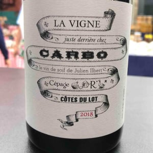 La Vigne Juste Derrière Chez Carbo - Château Combel La Serre - sophie-julien-ilbert