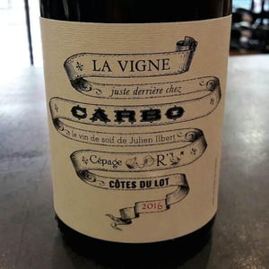 La Vigne Juste Derrière Chez Carbo - Château Combel La Serre - sophie-julien-ilbert