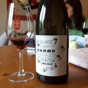 La Vigne Juste Derrière Chez Carbo 2018