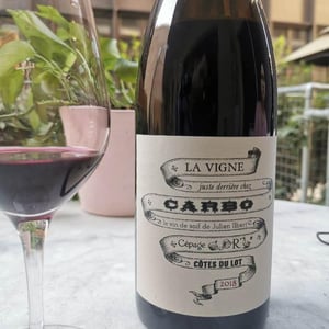 La Vigne Juste Derrière Chez Carbo - Château Combel La Serre - sophie-julien-ilbert
