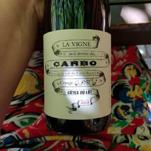 La Vigne Juste Derrière Chez Carbo - Château Combel La Serre - sophie-julien-ilbert
