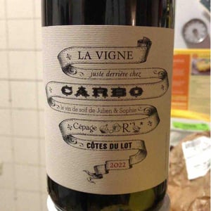 La Vigne Juste Derrière Chez Carbo - Château Combel La Serre - sophie-julien-ilbert