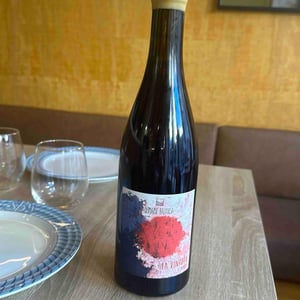 La Vinhota - Domaine Balansa - celine-peyre-alex-gressent