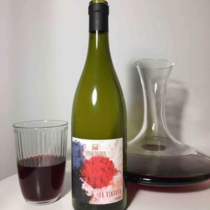 Domaine Balansa - Céline Peyre & Alex Gressent - La Vinhota