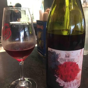Domaine Balansa - Céline Peyre & Alex Gressent - La Vinhota
