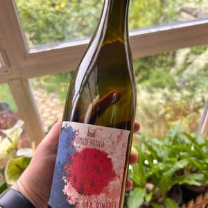 La Vinhota - Domaine Balansa - celine-peyre-alex-gressent