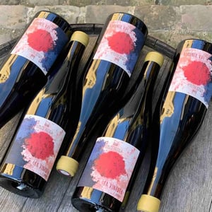 La Vinhota - Domaine Balansa - celine-peyre-alex-gressent