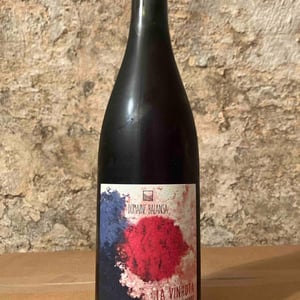 La Vinhota - Domaine Balansa - celine-peyre-alex-gressent