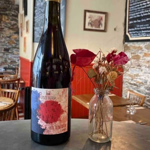 La Vinhota - Domaine Balansa - celine-peyre-alex-gressent