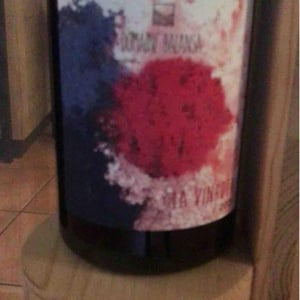 La Vinhota - Domaine Balansa - celine-peyre-alex-gressent