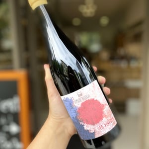 La Vinhota - Domaine Balansa - Céline Peyre & Alex Gressent 