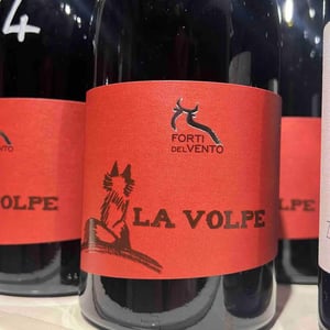 la volpe - Azienda Agricola Forti Del Vento - Marco Tacchino, Manuela Murchio & Tomaso Armento 