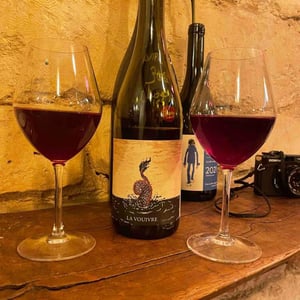 Vins Drach - Théophile Drach - La Vouivre