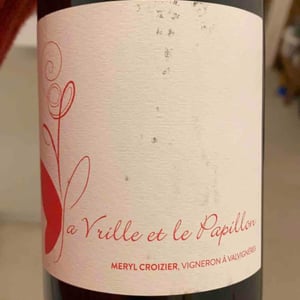 La Vrille Et Le Papillon - La Vrille et le Papillon - geraldine-meryl-croizier