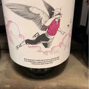 L’abrunet - Celler Frisach - joan-francesc-ferre