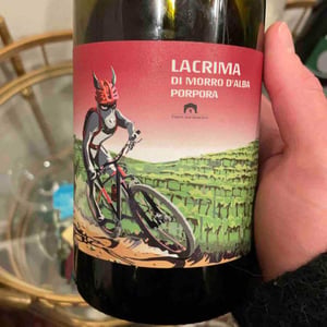 Lacrima - Tenuta San Marcello - Massimo Palmieri & Pascale Marquet 