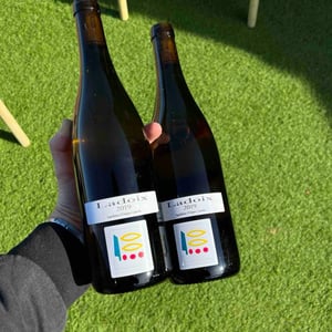 Ladoix - Domaine Prieuré Roch - henry-frederic-roch-yannick-champ -2020
