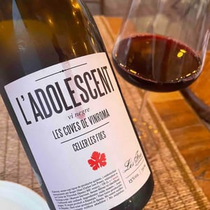 L'Adolescent - Celler Les Foes - roger-diaz -2022