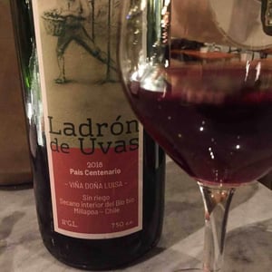 Ladron de Uvas - Viña Doña Luisa - patricio-cea