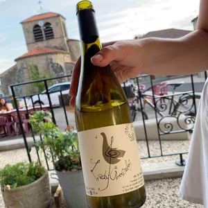 Lady Chasselas