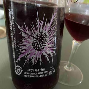 Lady Gaga - Domaine Piccard - jean-christophe-piccard