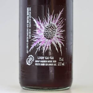 Lady Gaga - Domaine Piccard - jean-christophe-piccard