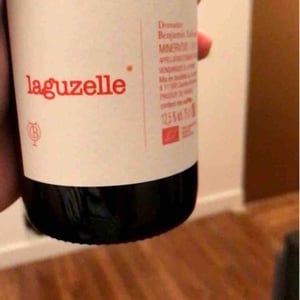 Domaine Benjamin Taillandier - Benjamin Taillandier - Laguzelle