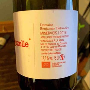 Domaine Benjamin Taillandier - Benjamin Taillandier - Laguzelle