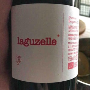Domaine Benjamin Taillandier - Benjamin Taillandier - Laguzelle