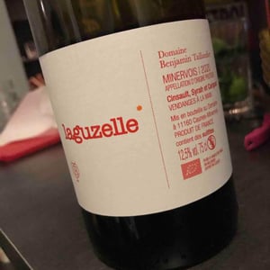 Domaine Benjamin Taillandier - Benjamin Taillandier - Laguzelle