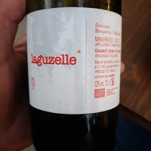 Domaine Benjamin Taillandier - Benjamin Taillandier - Laguzelle