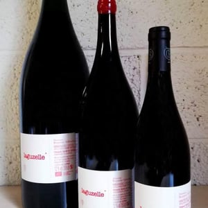 Laguzelle - Domaine Benjamin Taillandier - benjamin-taillandier