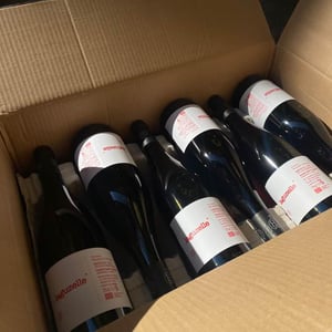 Laguzelle - Domaine Benjamin Taillandier - benjamin-taillandier