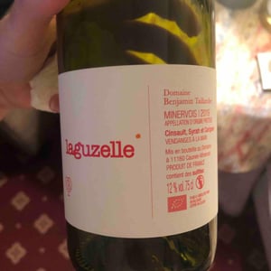 Domaine Benjamin Taillandier - Benjamin Taillandier - Laguzelle