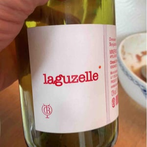 Laguzelle - Domaine Benjamin Taillandier - Benjamin Taillandier 