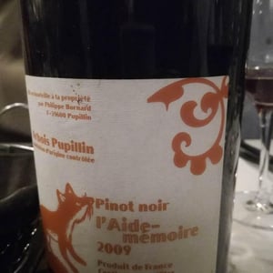 L'Aide-Mémoire - Domaine Bornard - tony-bornard
