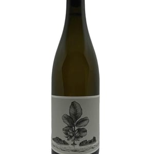 L'Aigine Blanc - Domaine de l’Or Vert - clement-jeannoulot-aurelien-le-tellier
