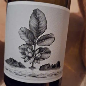 L'Aigine Blanc - Domaine de l’Or Vert - Clément Jeannoulot & Aurélien Le Tellier 
